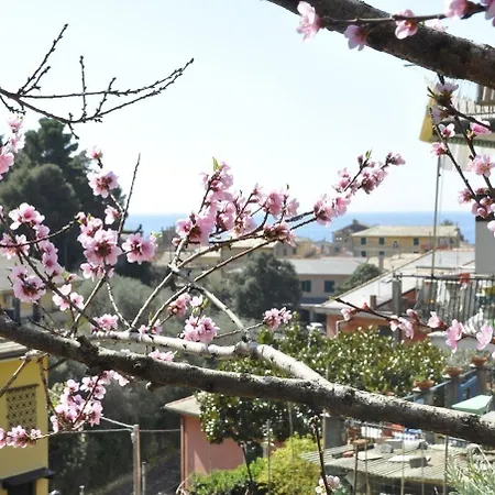 Ca Du Ferra Farm & Relax Hotel