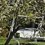 מלון Ca Du Ferra Farm & Relax בונאסולה