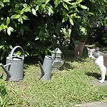 Ca Du Ferra Farm & Relax * בונאסולה