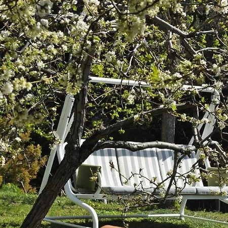 酒店 Ca Du Ferra Farm & Relax 博纳索拉