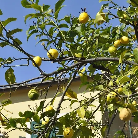 Ca Du Ferra Farm & Relax 酒店 *