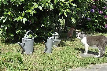 Ca Du Ferra Farm & Relax * 博纳索拉