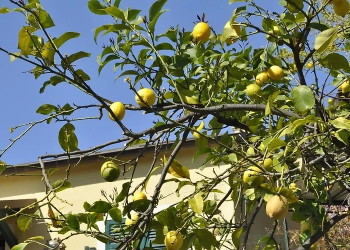 Ca Du Ferra Farm & Relax Hotel *